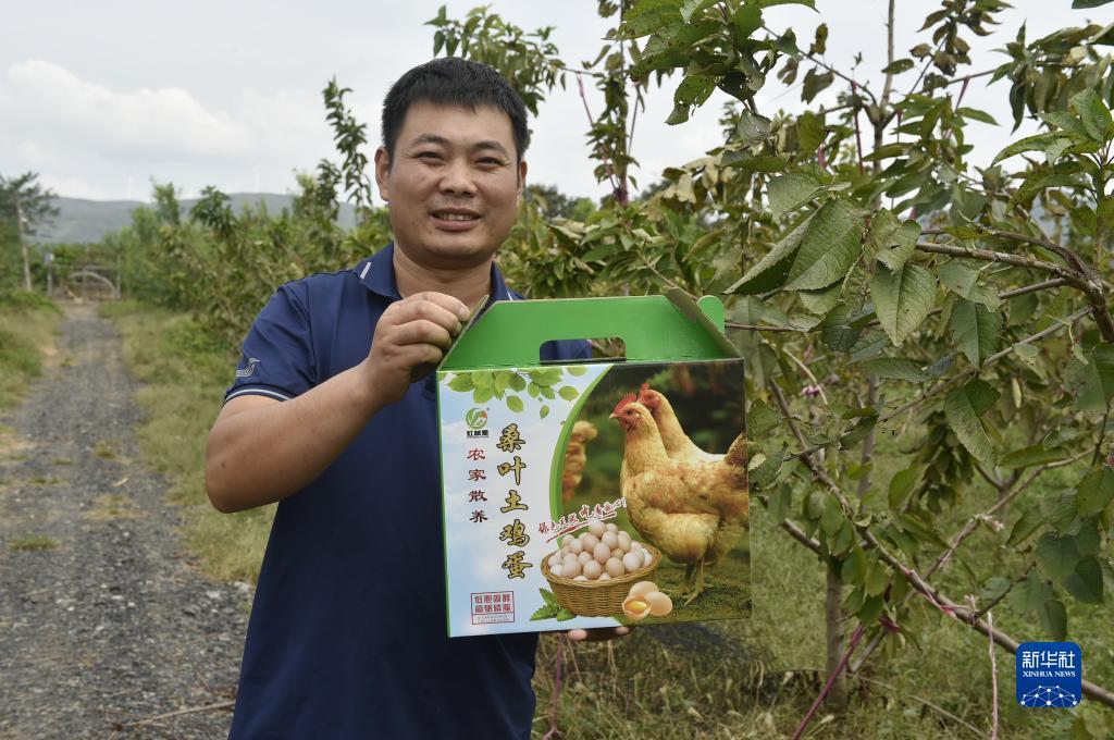 捕鱼达人单机电脑版游戏下载